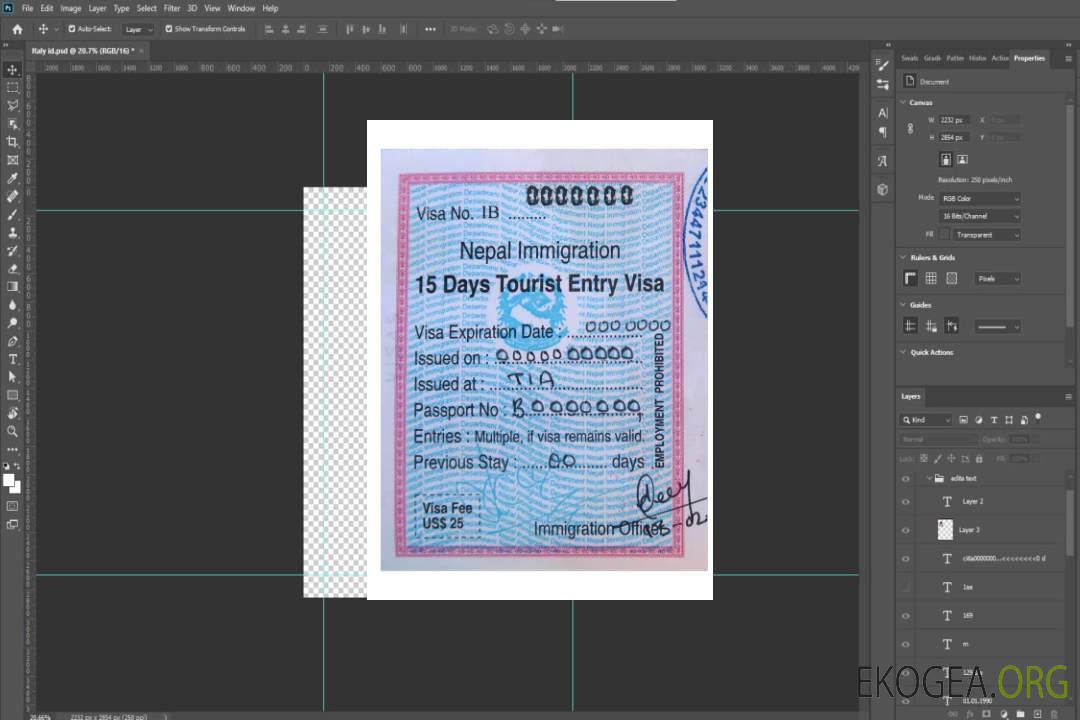 Visa d'entrée au NÉPAL template Visa d'entrée au NÉPAL template